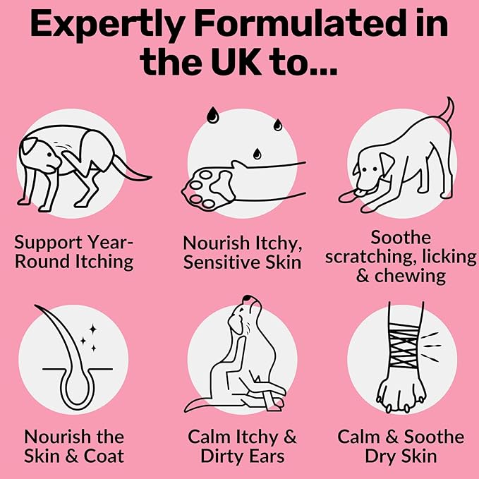 NutriPaw All-Itch Immunity Treats For Dogs - Image 2